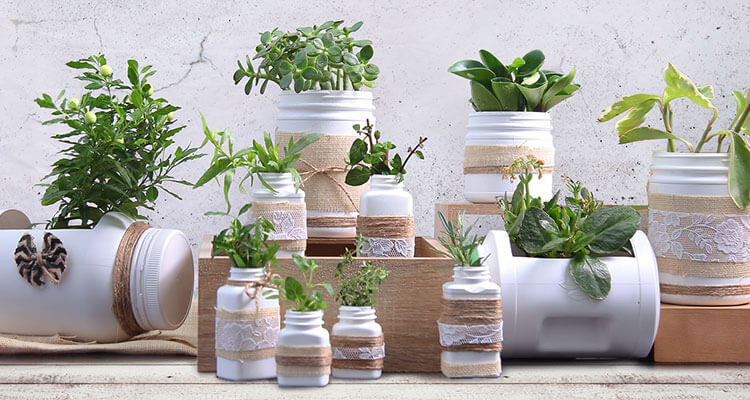 Easy Ways to Reuse Your Amway Containers 